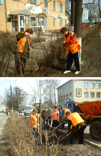 В рамках Дня дерева в Шумерле планируется посадить около 2300 деревьев и кустарников